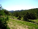 Finca en Cervera