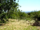 Finca en Cervera