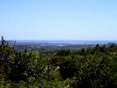 Finca en Cervera
