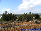 Image 13
