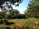 Image 14