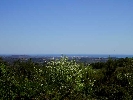 Propriété Rurale en Cervera