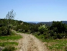 Propriété Rurale en Cervera