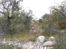 Plot of Land in Cálig