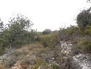 Plot of Land in Cálig