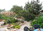 Plot of Land in San Rafael del Rio